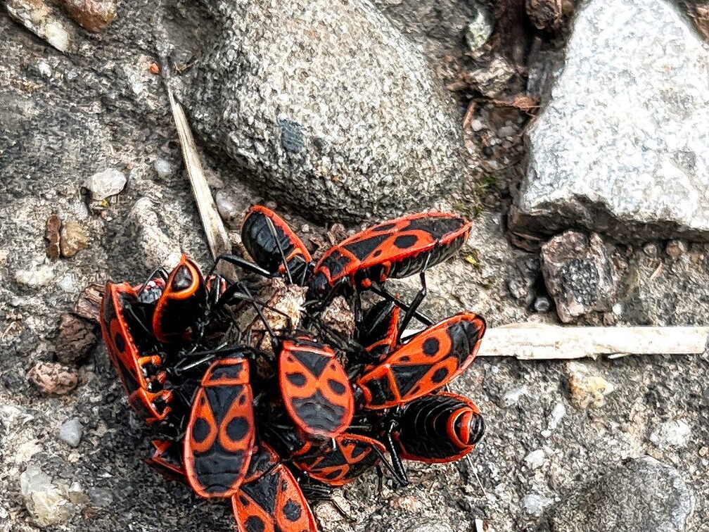 23-03-17 12-07-34 4900